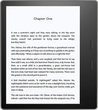 Amazon Kindle Oasis 32GB Wi-Fi+4G (2019) - Black
