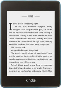 Amazon Kindle Paperwhite 4 10th Gen 8GB (2018) Twilight Blue